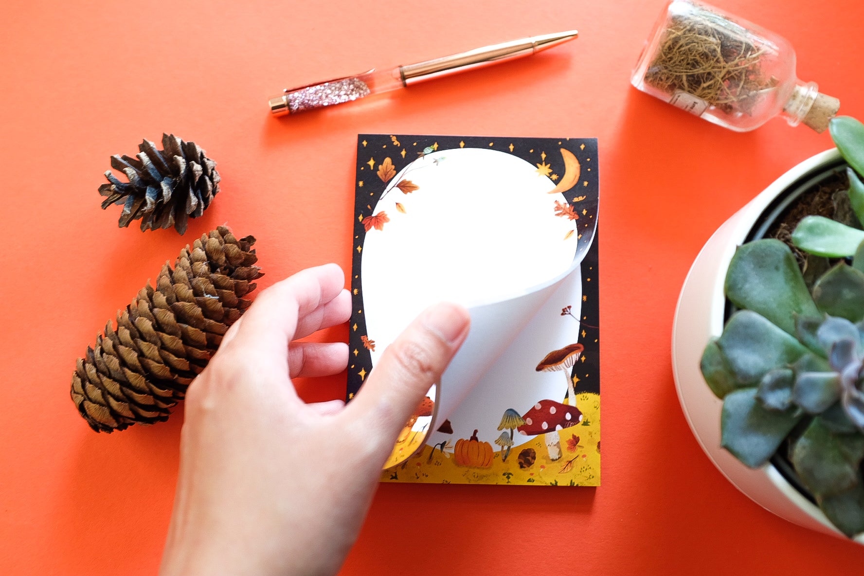 A6 Mushroom Notepad / 50 sheets